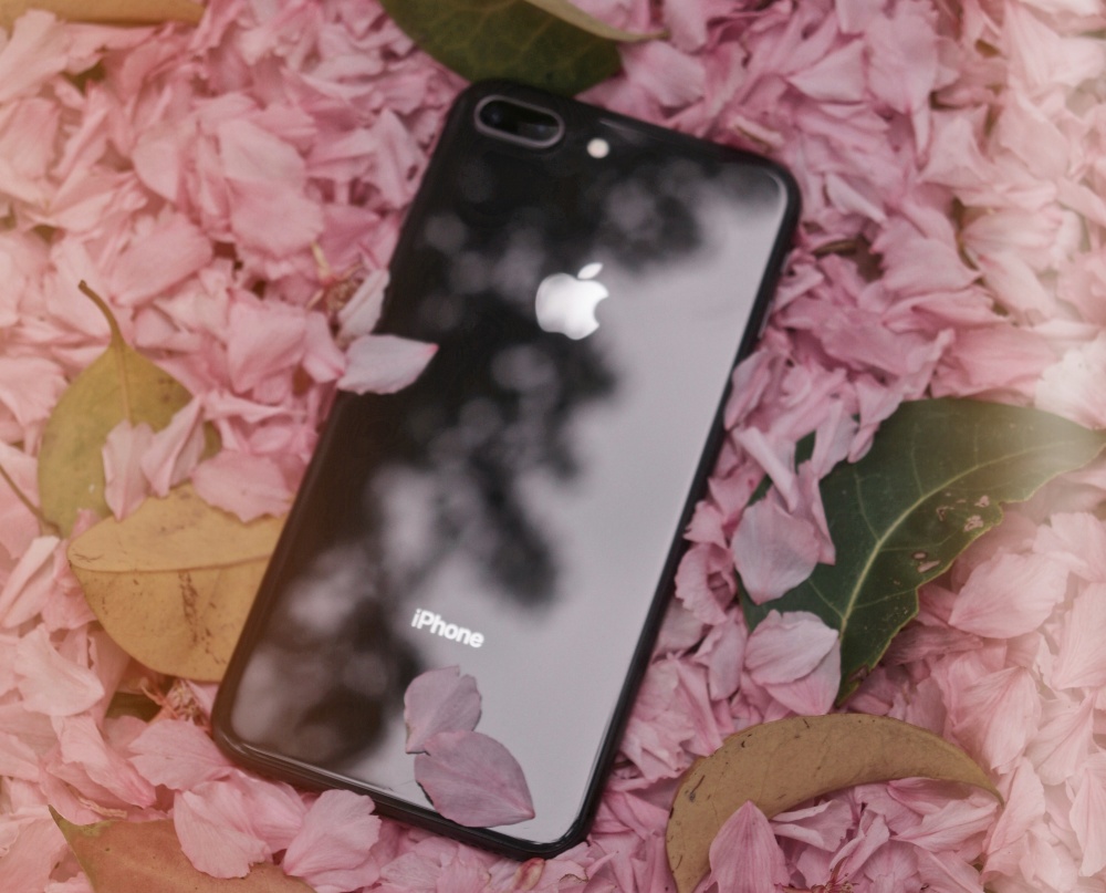 older model iPhone on leaves